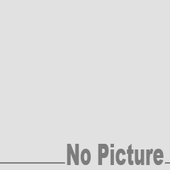 美國 KONG | 耐咬甜甜圈 | 狗玩具 | 安全 無毒 | 橡膠玩具 | 寵物玩具 | 翔帥寵物生活館