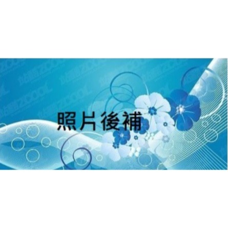 ❣️ 美妍社 ❣️ 附發票 Biore 蜜妮 頂級深層卸妝棉 水嫩保濕型 / 清爽淨膚型 10片攜帶包