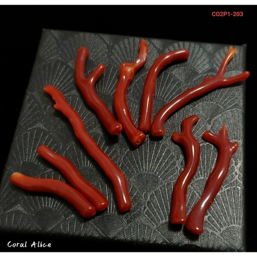 ?Coral珊寶手作-天然阿卡珊瑚/赤血珊瑚自然枝(無孔) 27.8-50.8mm CO2P1-203