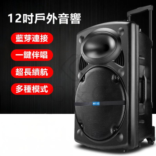 【店面現貨】隨走隨唱 藍芽音箱 12吋藍牙音箱 廣場舞音響 音箱戶外 拉桿音響 無線話筒 唱歌音箱 選舉宣傳好幫手