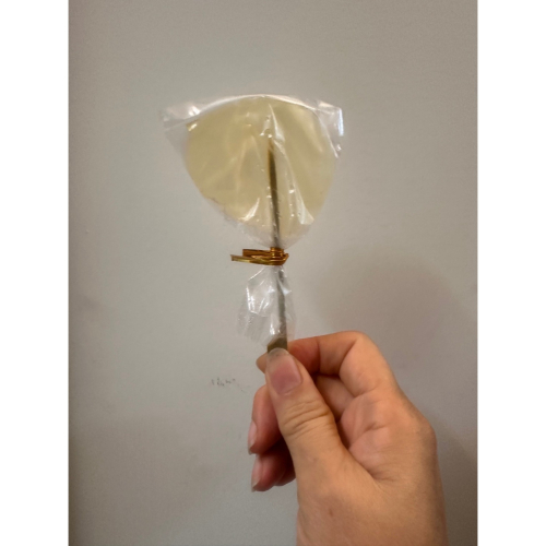 迷你棒棒糖(使用糖葫蘆的糖漿製作的)