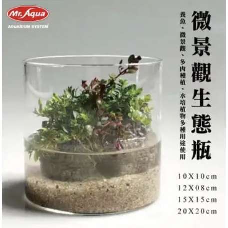 超透明柱型 生態缸 生態瓶 魚缸 多肉植物 苔蘚缸 水耕 魚菜共生 微景觀